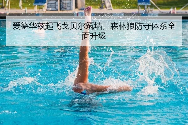 ai-de-hua-zi-qi-fei-ge-bei-er-zhu-qiang-sen-lin-lang-fang-shou-ti-xi-quan-mian-sheng-ji-2-533.jpg